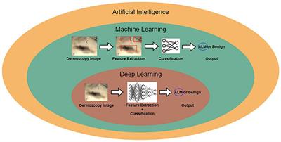 Artificial Intelligence in Cutaneous Oncology